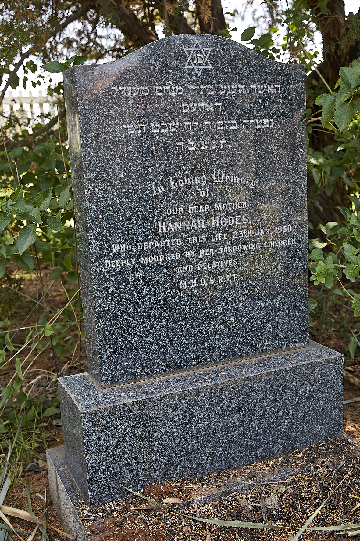 graves/new_tombstone/DIGSB39847.jpg