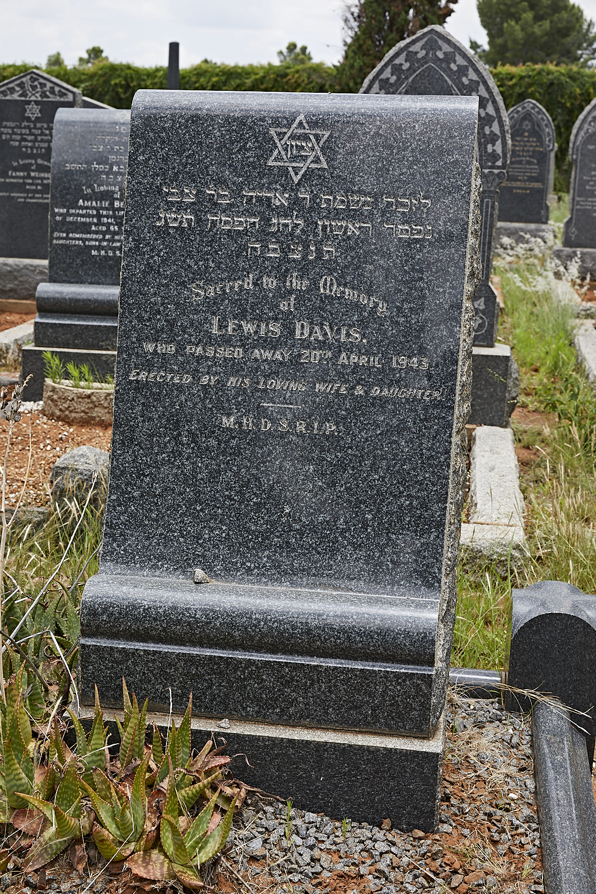 graves/new_tombstone/DIGSB39993.jpg