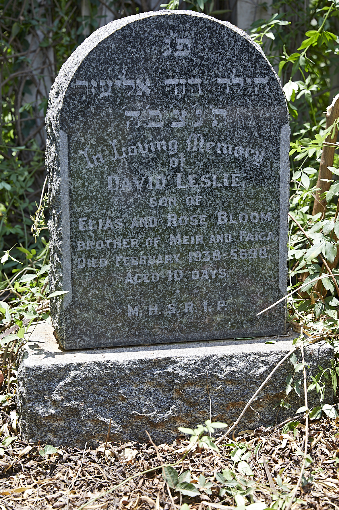 graves/new_tombstone2/DIGSB40093.jpg