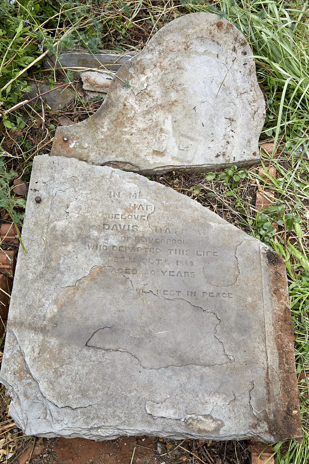 graves/new_tombstone2/DIGSB40154.jpg