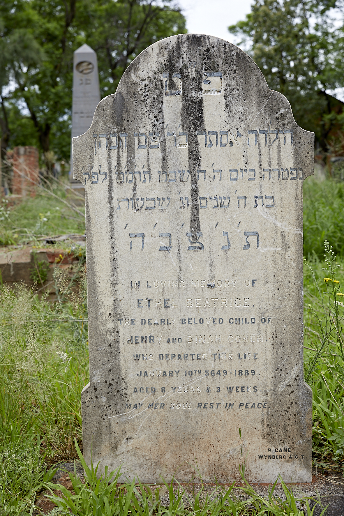 graves/new_tombstone2/DIGSB40165.jpg