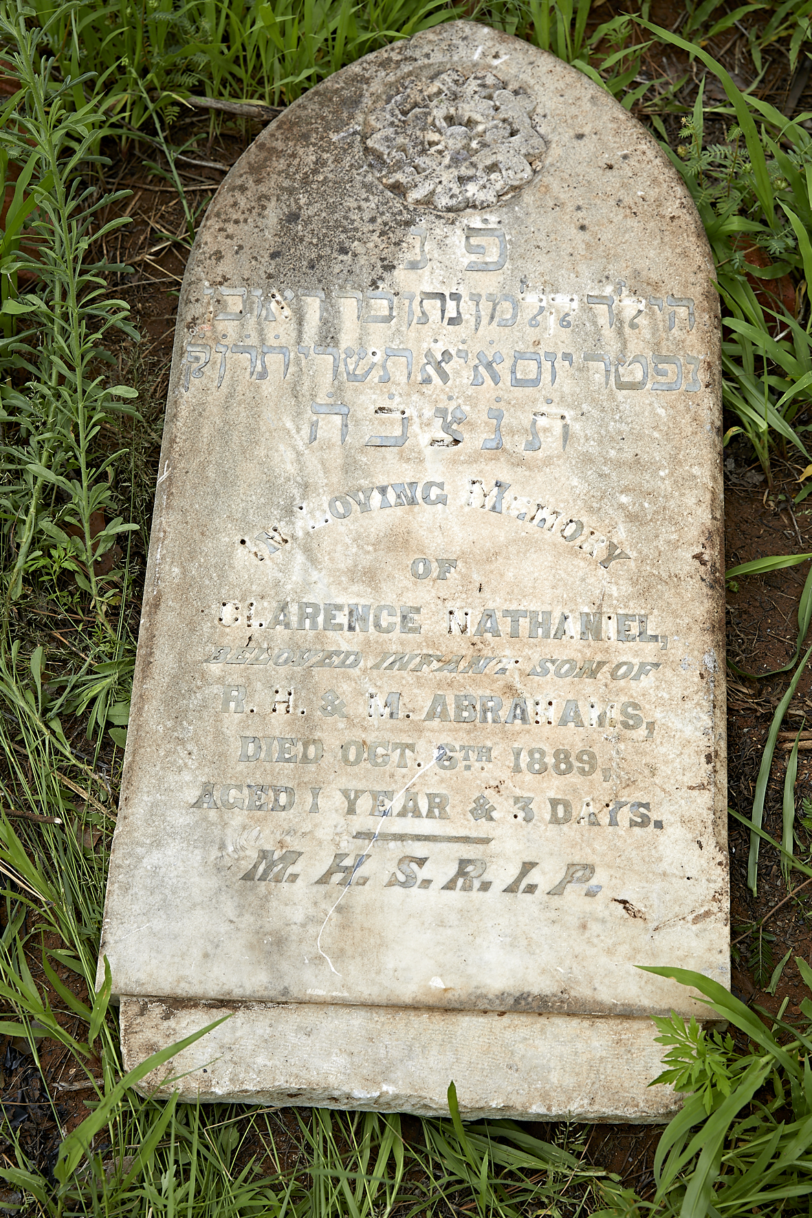 graves/new_tombstone2/DIGSB40167.jpg