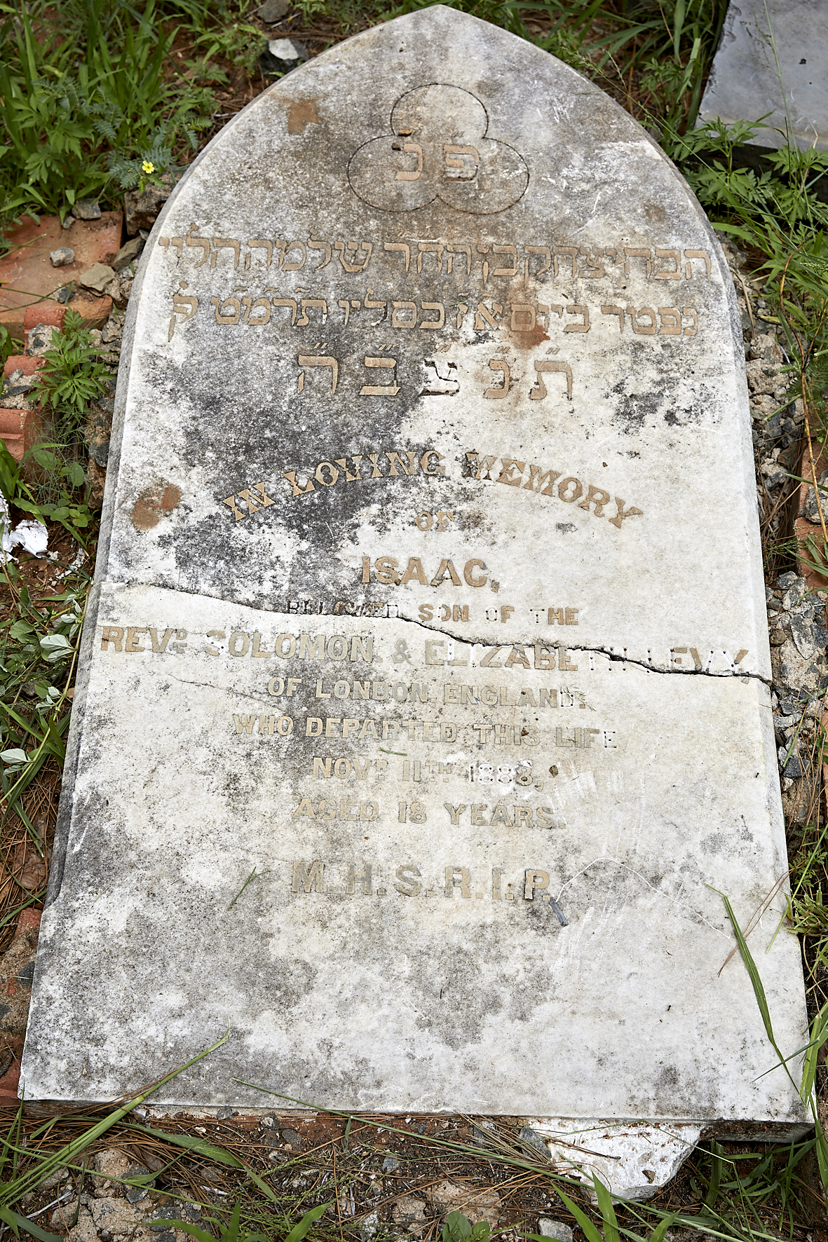 graves/new_tombstone2/DIGSB40182.jpg