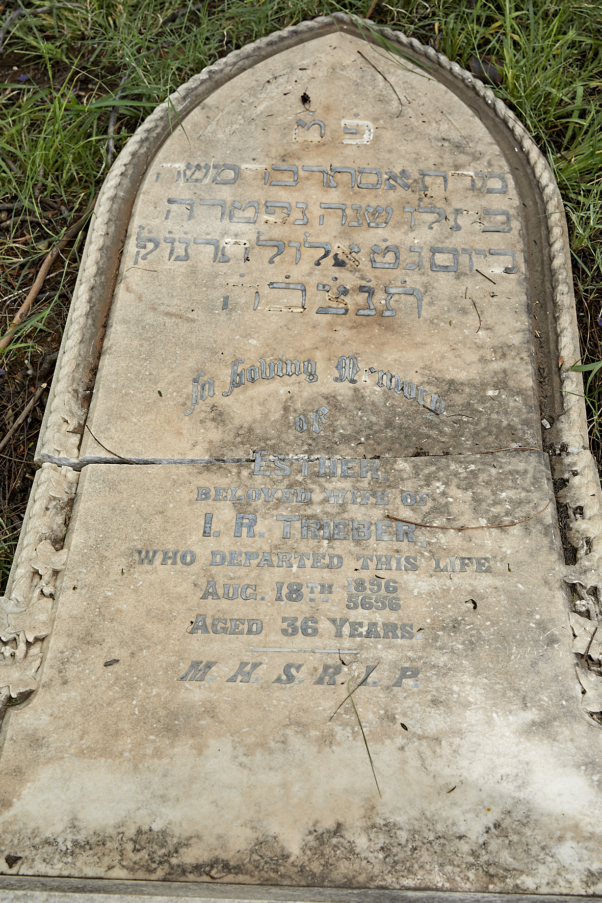 graves/new_tombstone2/DIGSB40194.jpg