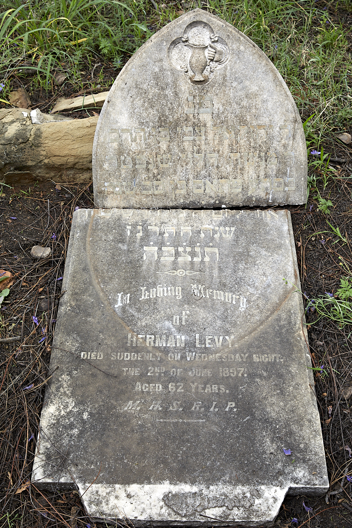 graves/new_tombstone2/DIGSB40200.jpg