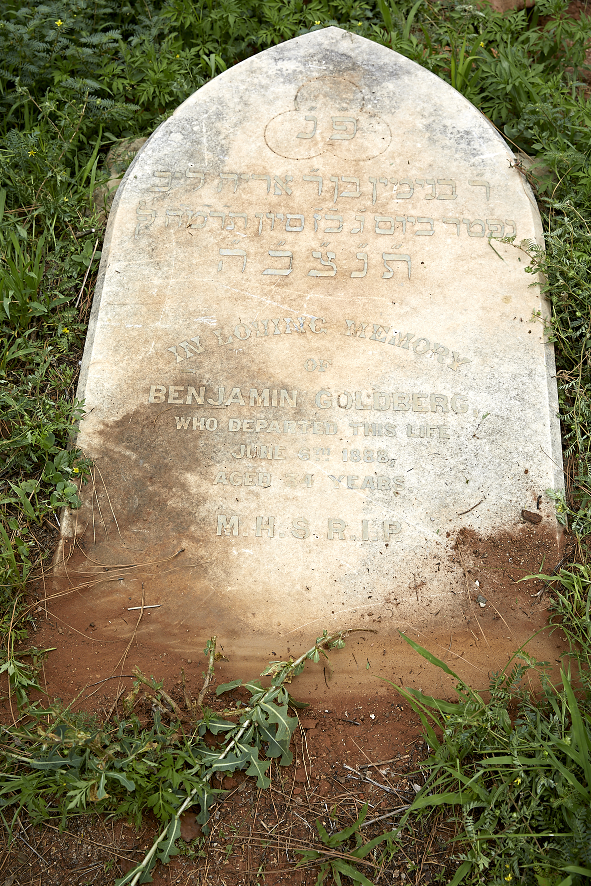 graves/new_tombstone2/DIGSB40203.jpg