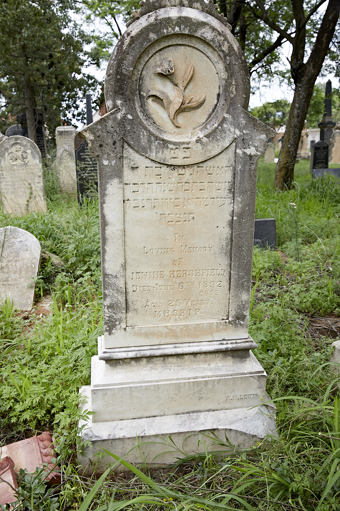 graves/new_tombstone2/DIGSB40218.jpg