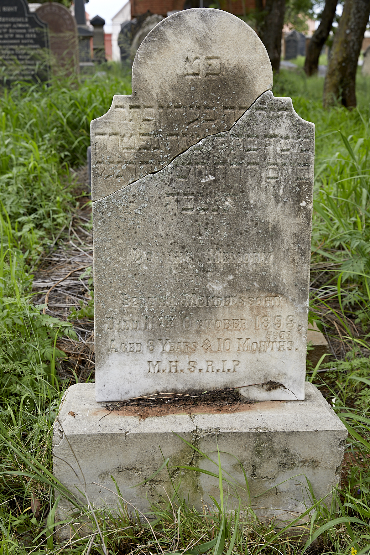 graves/new_tombstone2/DIGSB40219.jpg