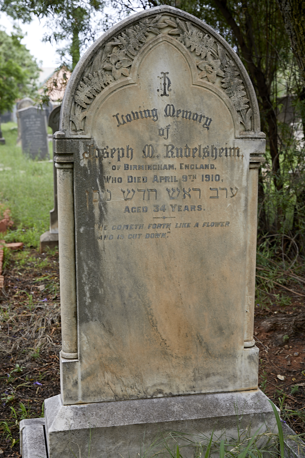 graves/new_tombstone2/DIGSB40220.jpg