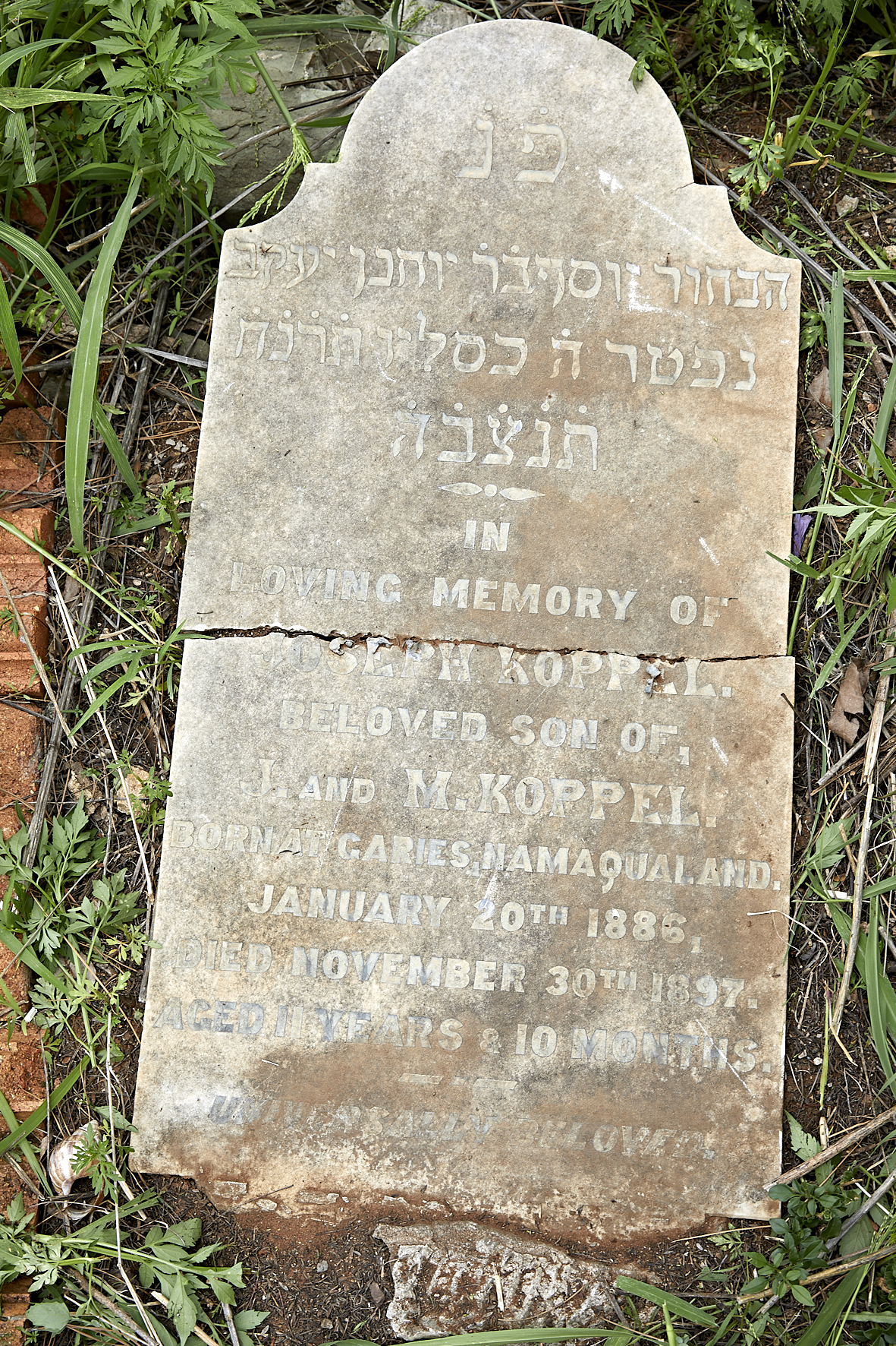 graves/new_tombstone2/DIGSB40229.jpg