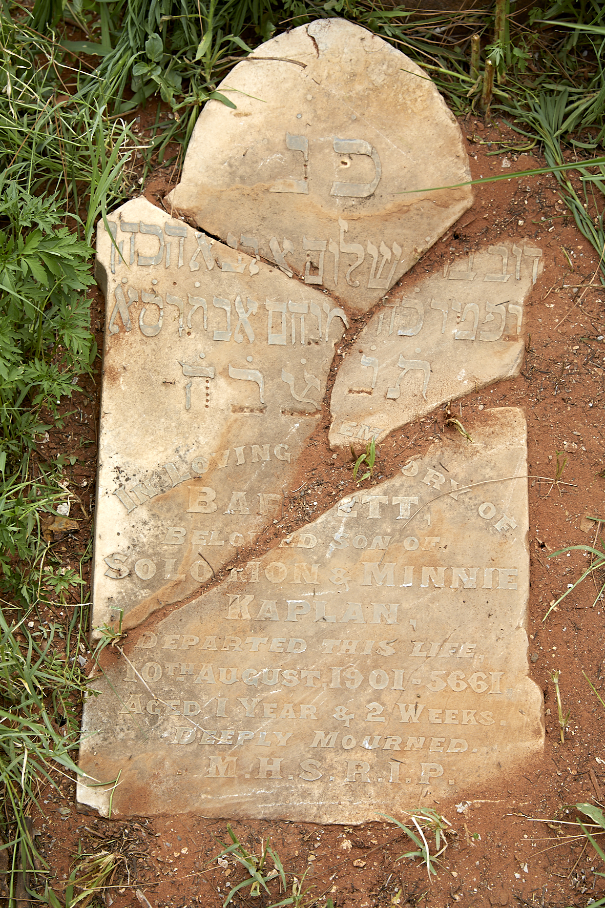 graves/new_tombstone2/DIGSB40234.jpg