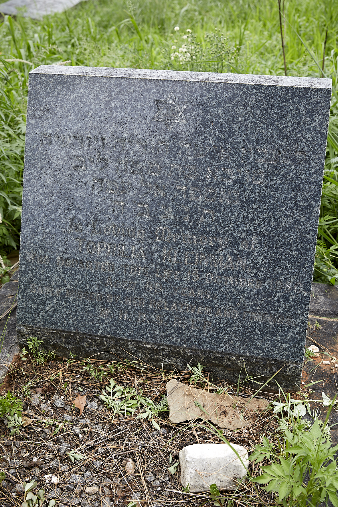 graves/new_tombstone2/DIGSB40235.jpg