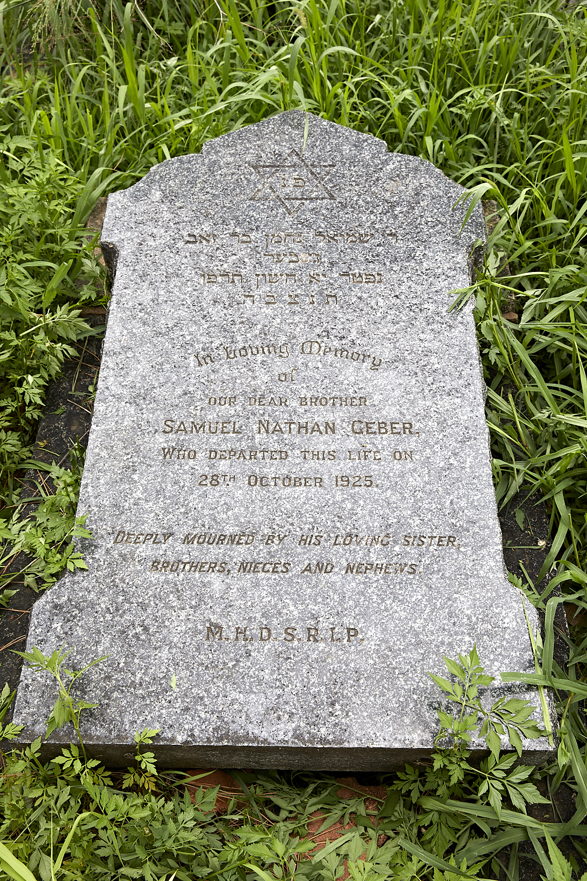 graves/new_tombstone2/DIGSB40237.jpg