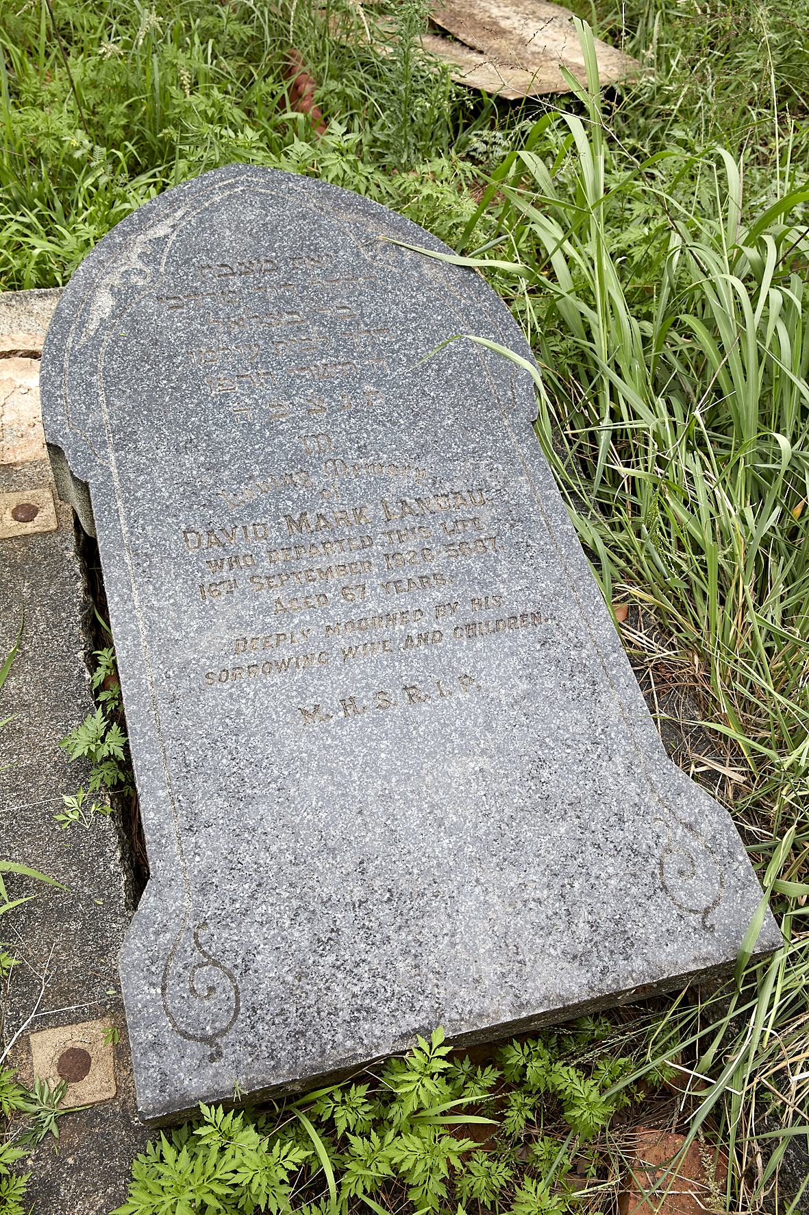 graves/new_tombstone2/DIGSB40242.jpg