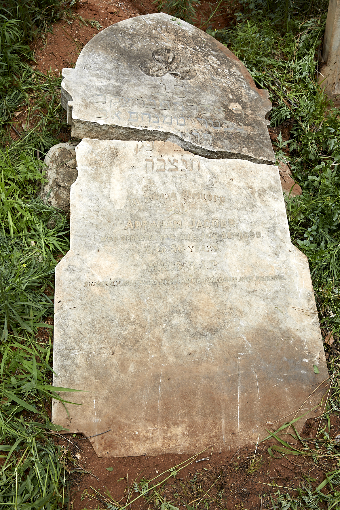 graves/new_tombstone2/DIGSB40246.jpg