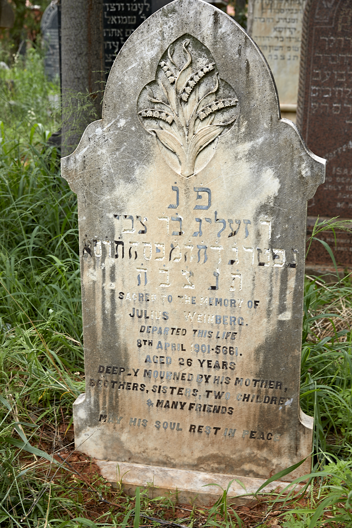 graves/new_tombstone2/DIGSB40261.jpg