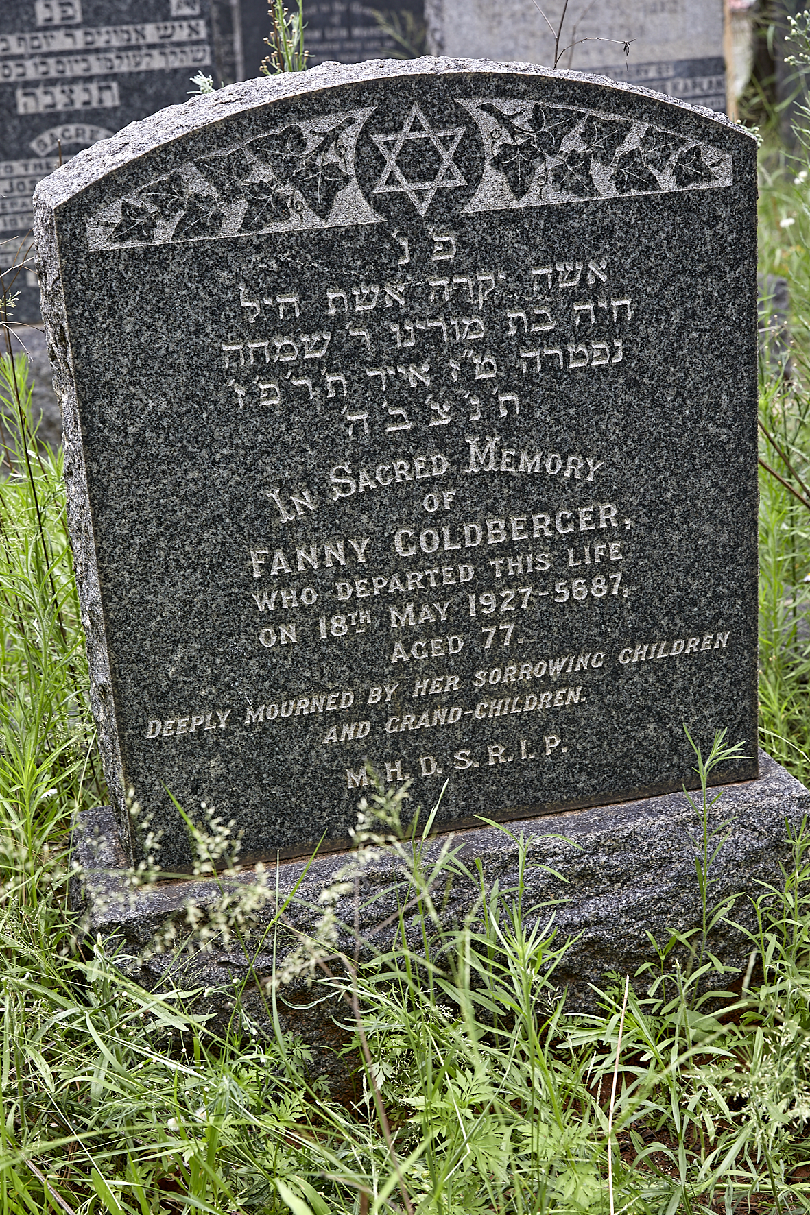 graves/new_tombstone2/DIGSB40270.jpg