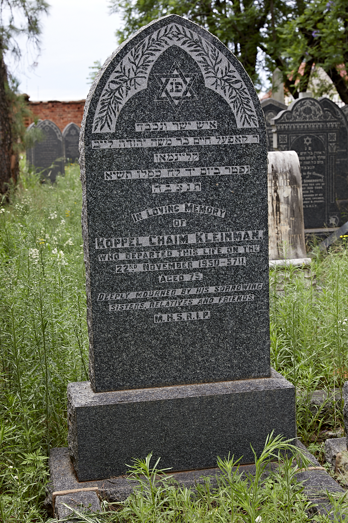 graves/new_tombstone2/DIGSB40271.jpg