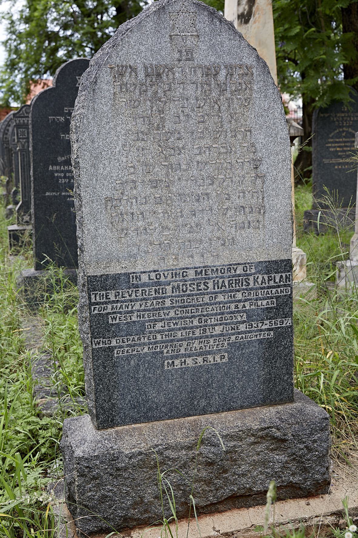 graves/new_tombstone2/DIGSB40273.jpg