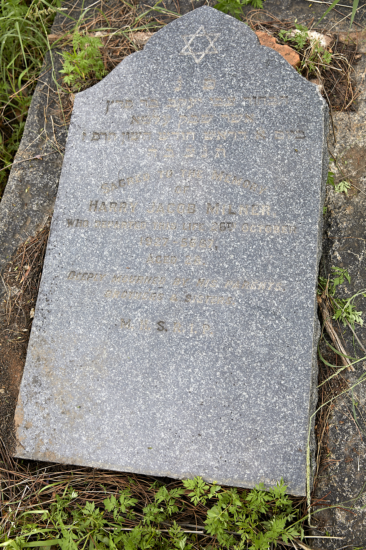 graves/new_tombstone2/DIGSB40276.jpg