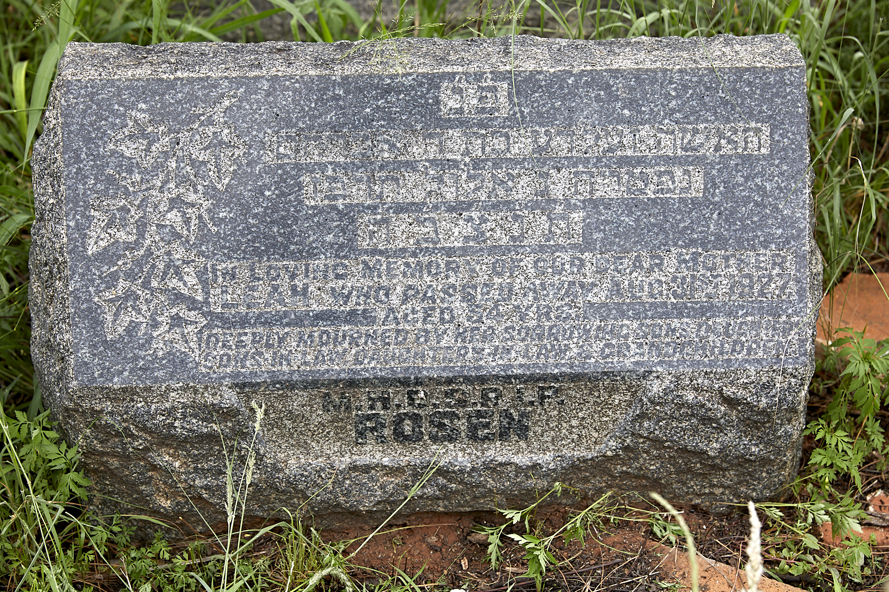 graves/new_tombstone2/DIGSB40278.jpg