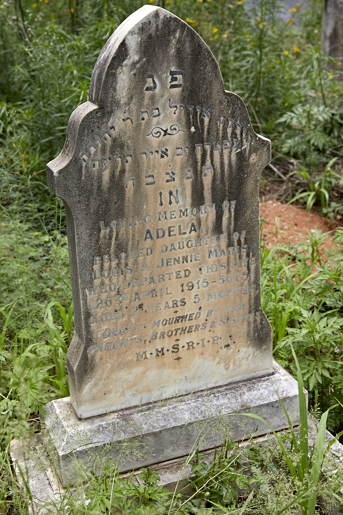 graves/new_tombstone2/DIGSB40279.jpg