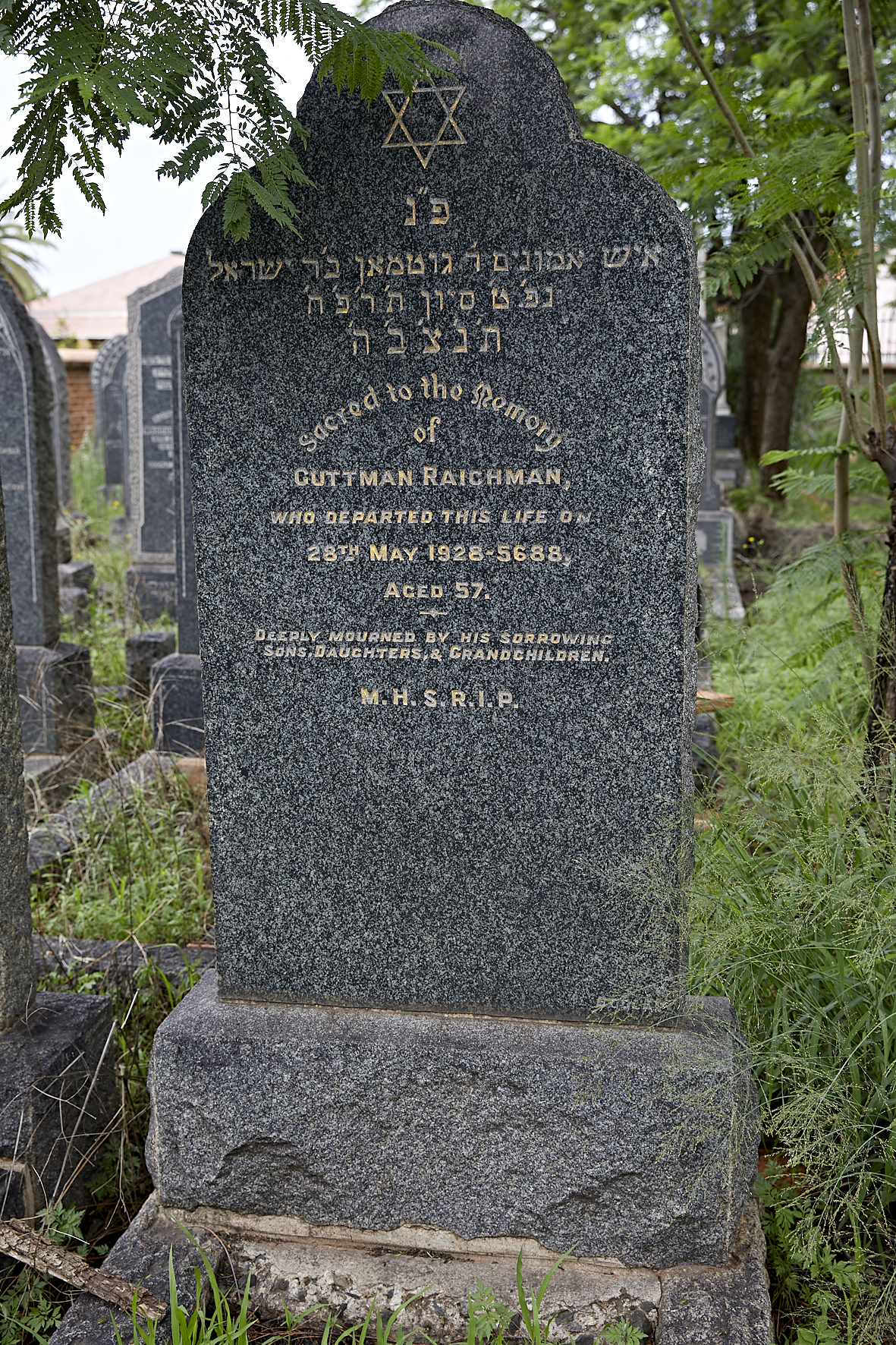 graves/new_tombstone2/DIGSB40316.jpg