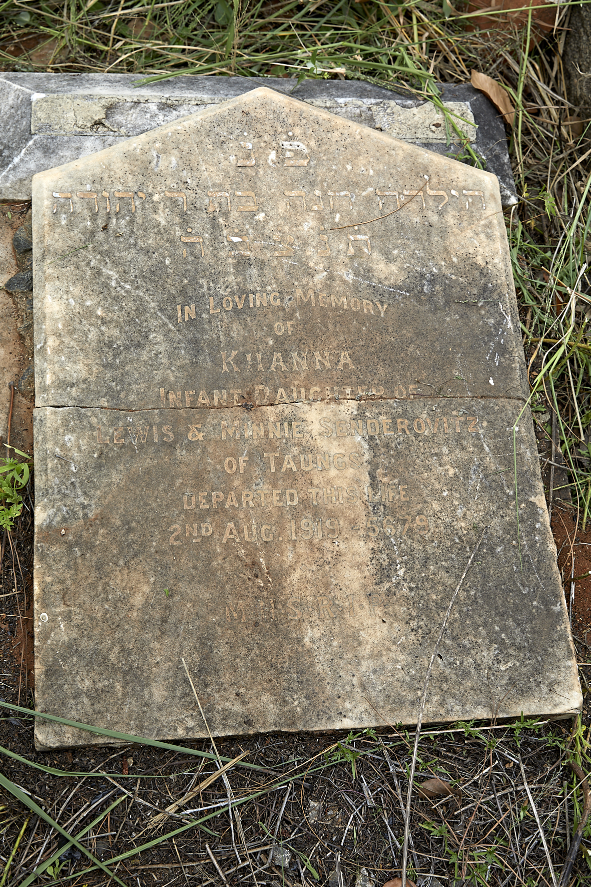 graves/new_tombstone2/DIGSB40319.jpg