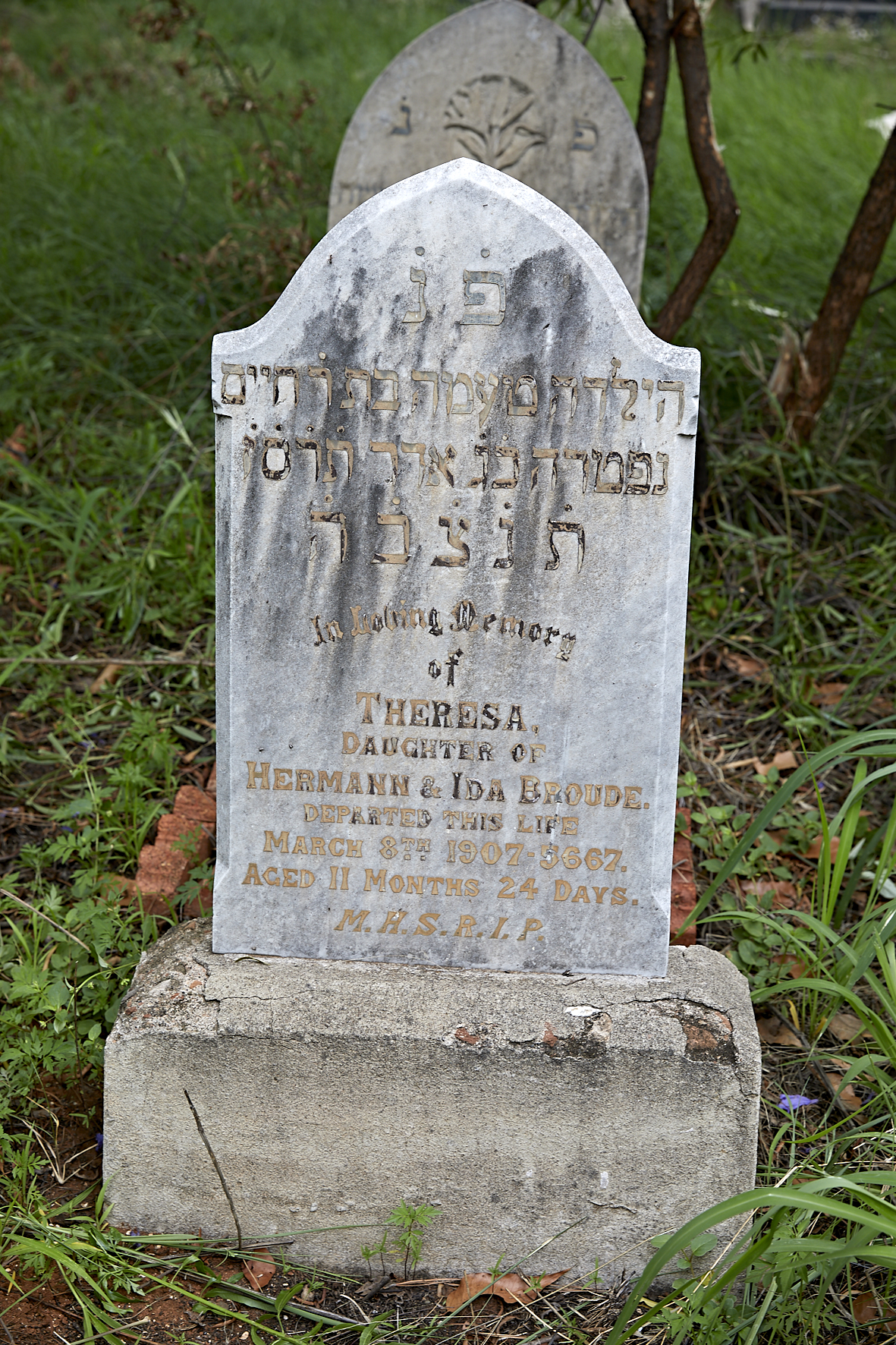 graves/new_tombstone2/DIGSB40354.jpg