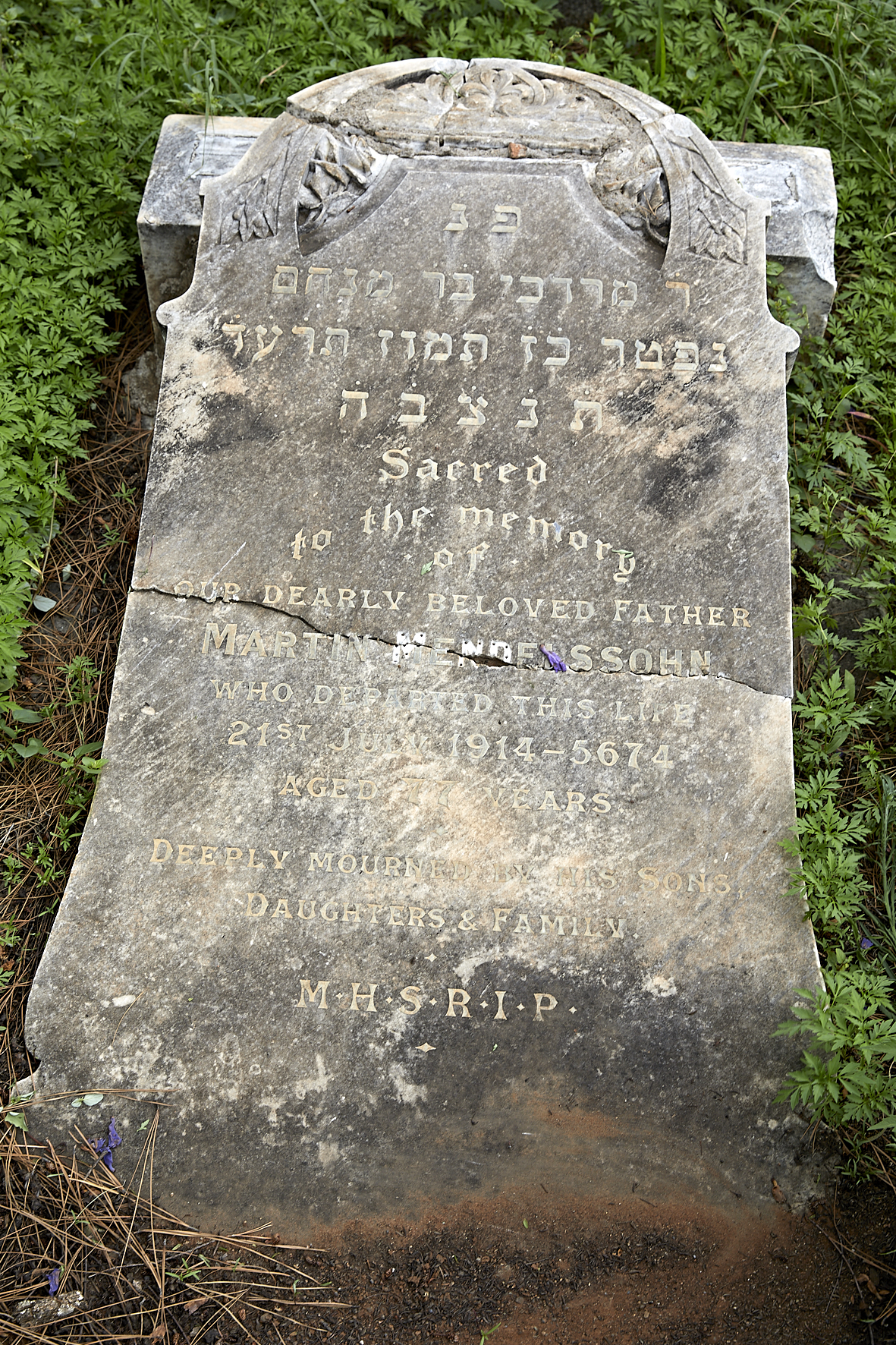 graves/new_tombstone2/DIGSB40370.jpg