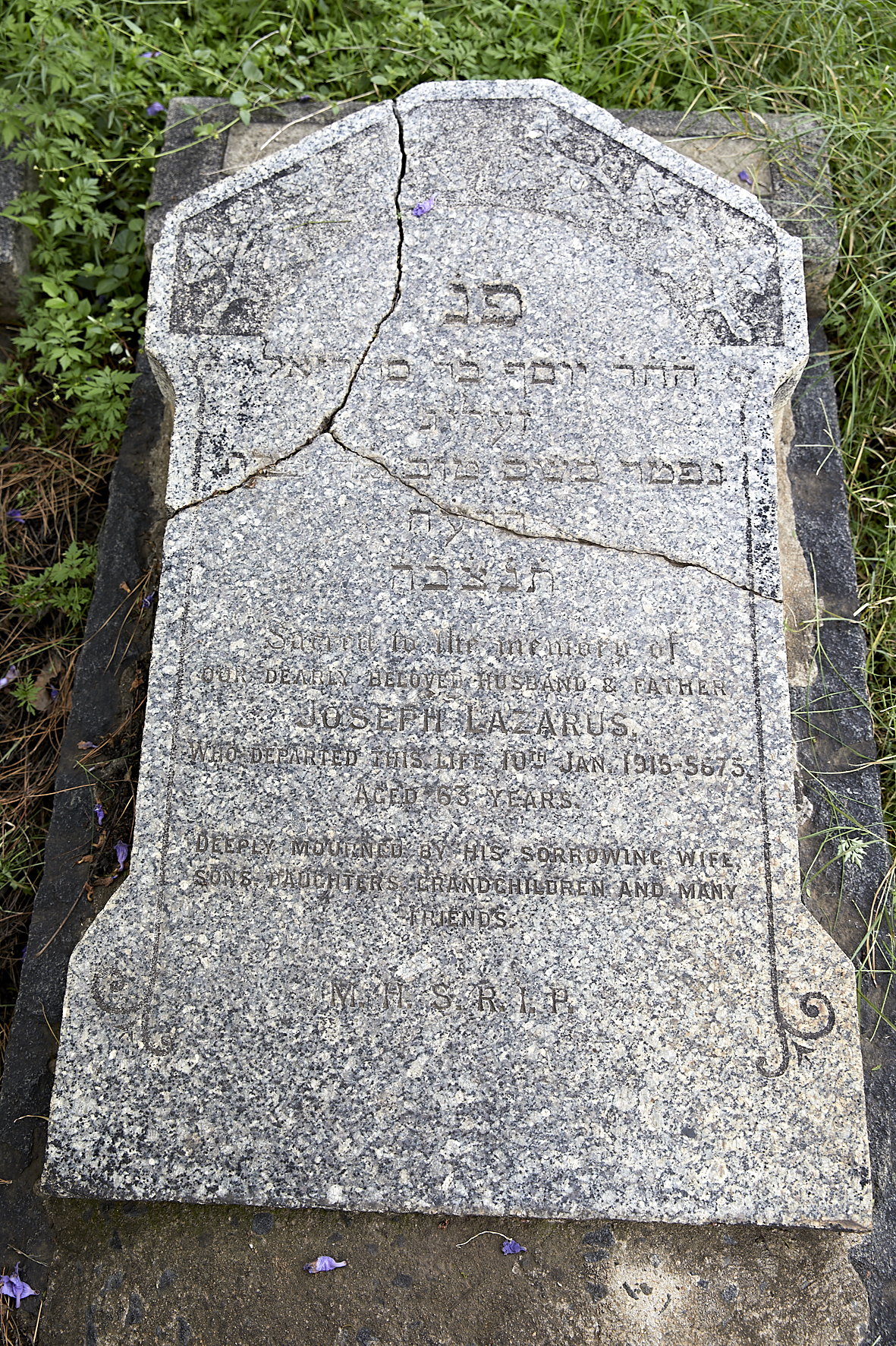 graves/new_tombstone2/DIGSB40373.jpg