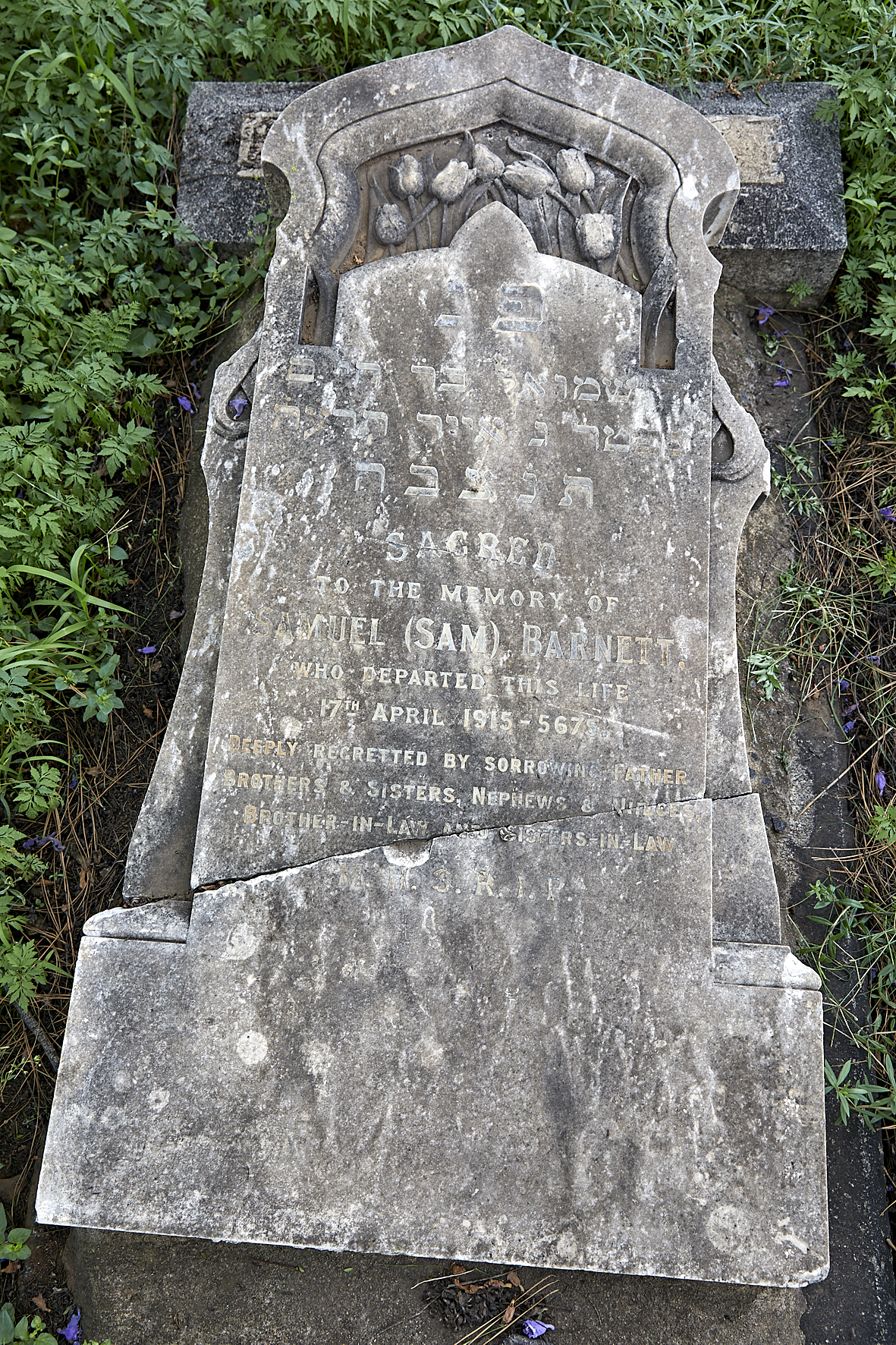 graves/new_tombstone2/DIGSB40374.jpg