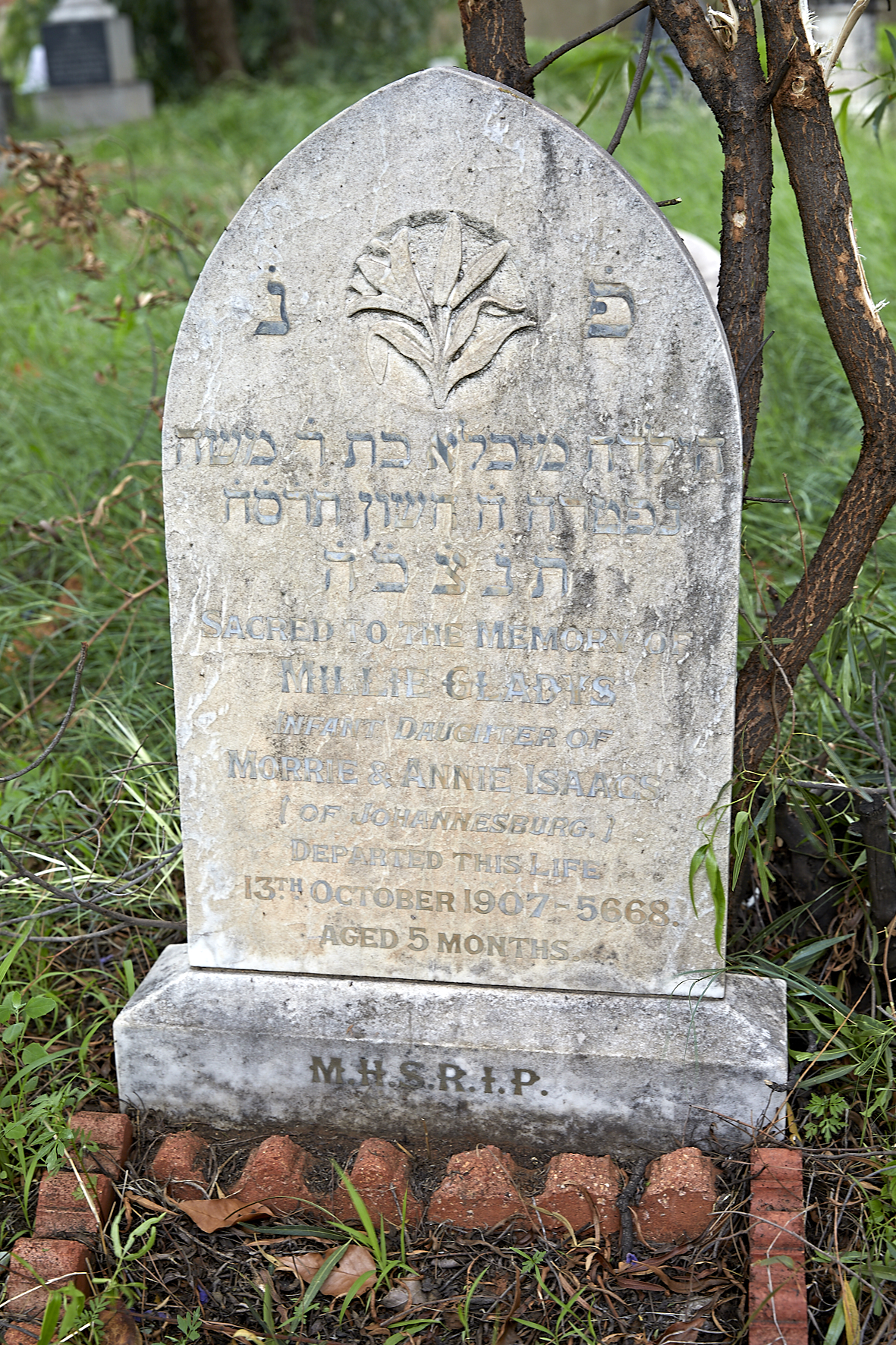 graves/new_tombstone2/DIGSB40387.jpg