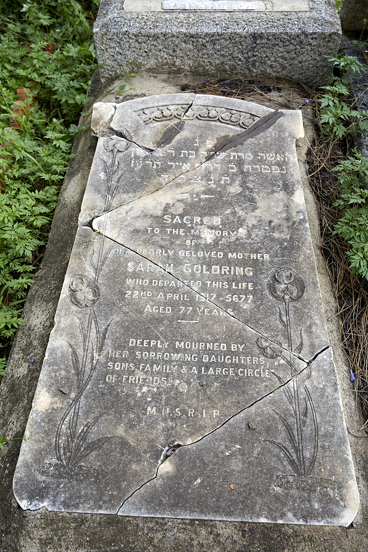 graves/new_tombstone2/DIGSB40407.jpg