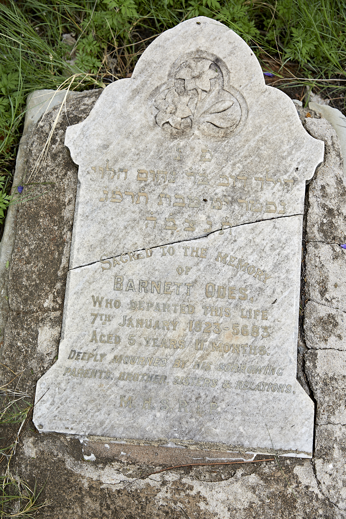 graves/new_tombstone2/DIGSB40426.jpg