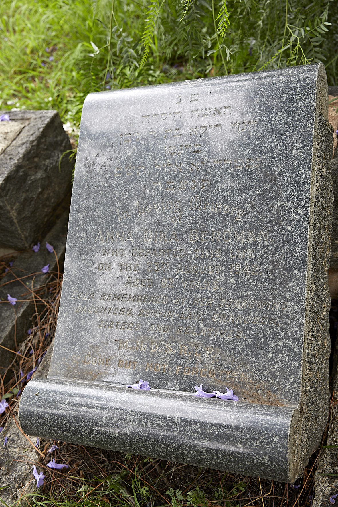 graves/new_tombstone2/DIGSB40451.jpg