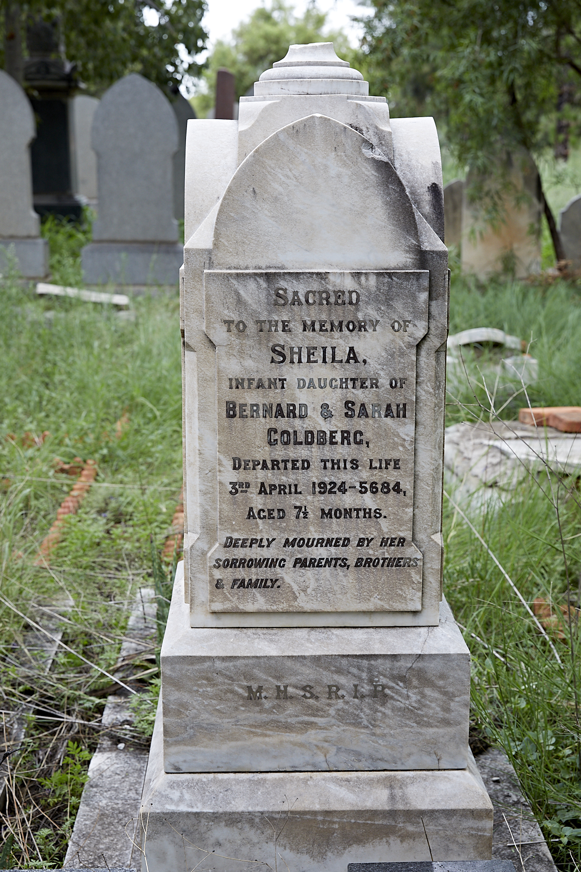 graves/new_tombstone2/DIGSB40463.jpg