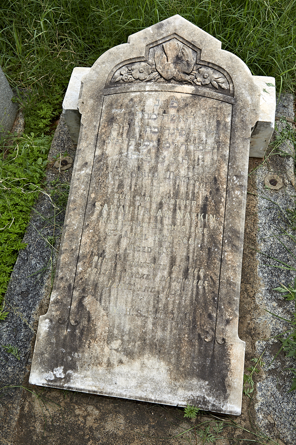 graves/new_tombstone2/DIGSB40484.jpg