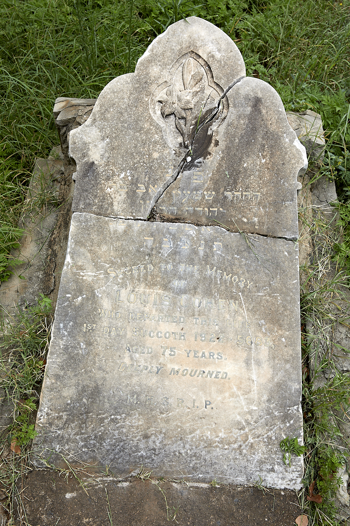 graves/new_tombstone2/DIGSB40497.jpg